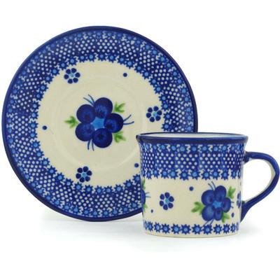 Cup with Saucer in pattern D1