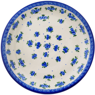 Plate in pattern D343