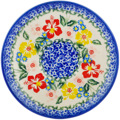 saucer in pattern D358