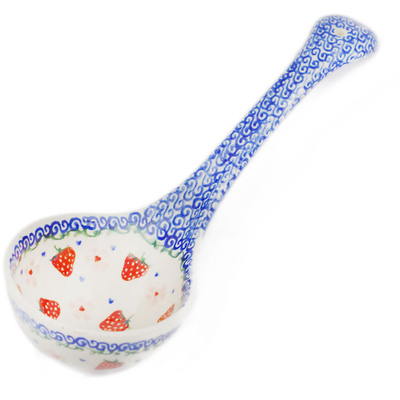 Pattern D450 in the shape chochla