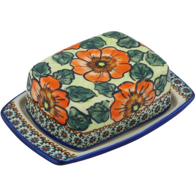 Butter Dish in pattern D95