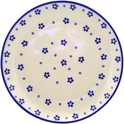 Plate in pattern D13