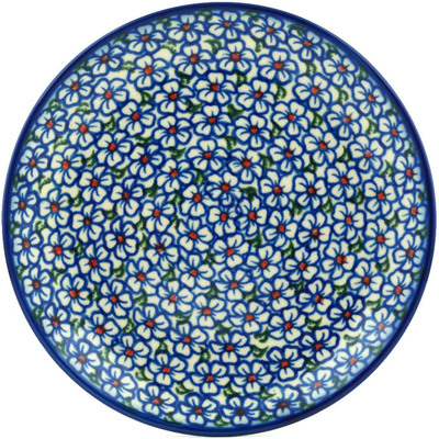 Plate in pattern D137